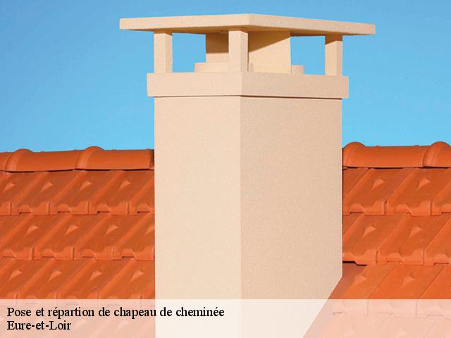 Pose de chapeau de cheminée Eure-et-Loir