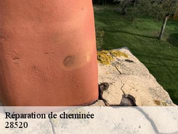 Réparation de cheminée 28520