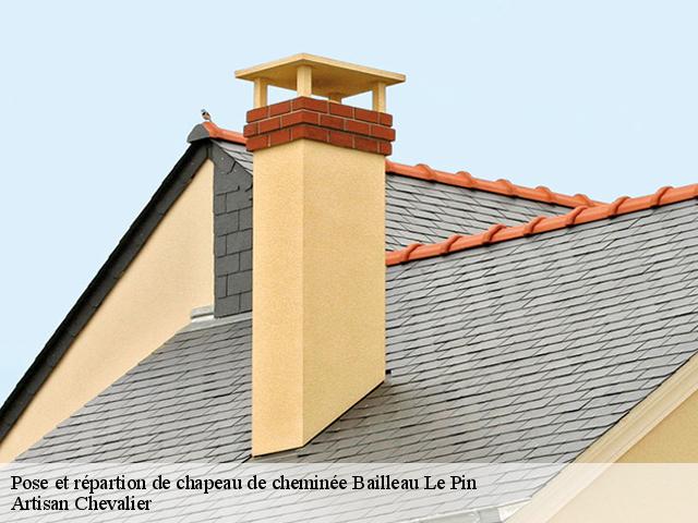 Pose et répartion de chapeau de cheminée  bailleau-le-pin-28120 Artisan Chevalier