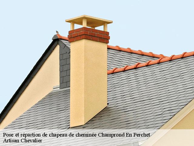 Pose et répartion de chapeau de cheminée  champrond-en-perchet-28400 Artisan Chevalier