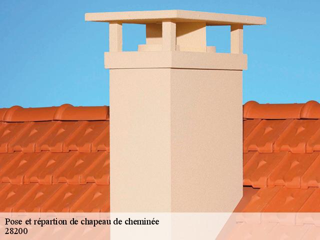 Pose et répartion de chapeau de cheminée 28200
