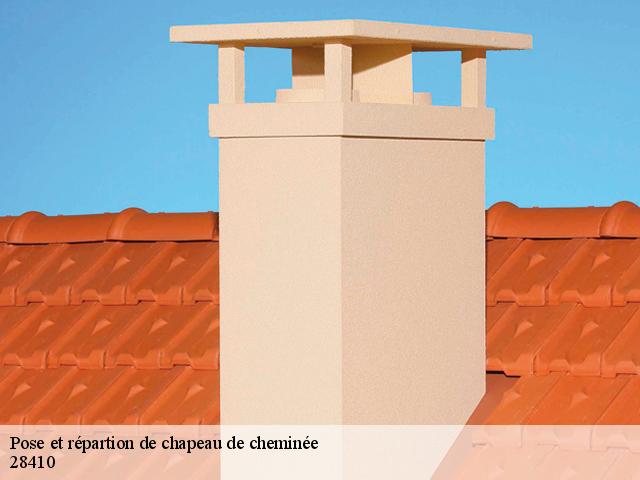 Pose et répartion de chapeau de cheminée 28410